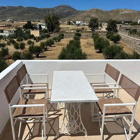 The Olive House Holiday home *