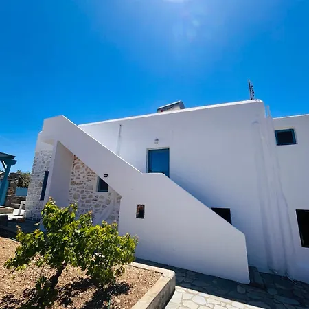 The Olive House